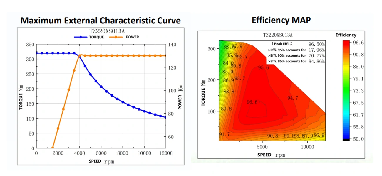 TZ220-100 NM Drive Motor-1